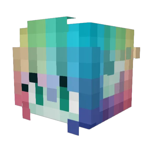 squid2150 Minecraft avatar head, 3D render