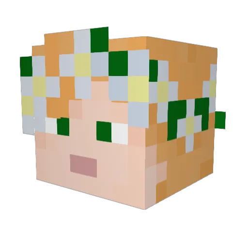 squidboy614 Minecraft avatar head, 3D render