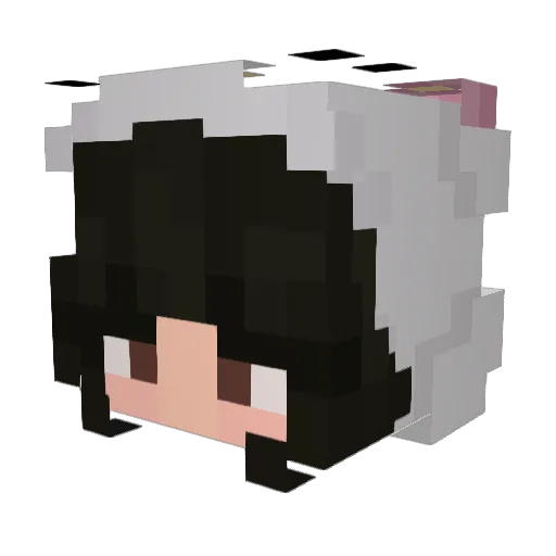squiddlesink Minecraft avatar head, 3D render