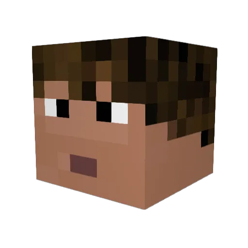 squider255 Minecraft avatar head, 3D render