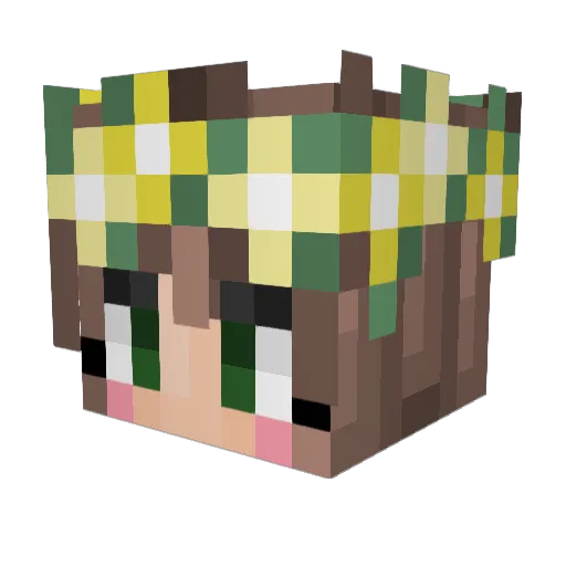 squidingonfools Minecraft avatar head, 3D render