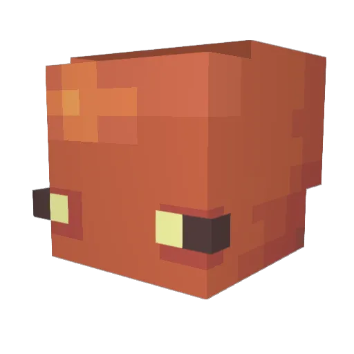 squidpringles_ Minecraft avatar head, 3D render