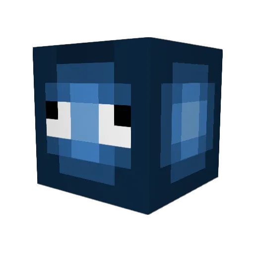 squidsRderpy Minecraft avatar head, 3D render