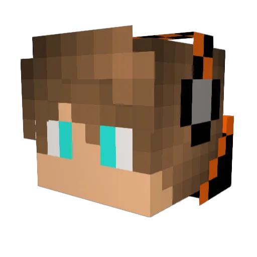 squidslayer495 Minecraft avatar head, 3D render