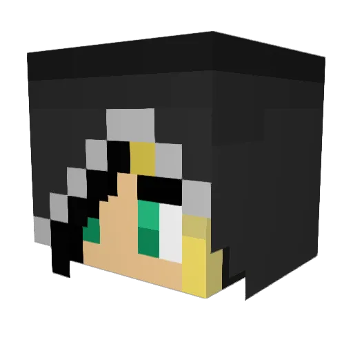 squidstixx Minecraft avatar head, 3D render