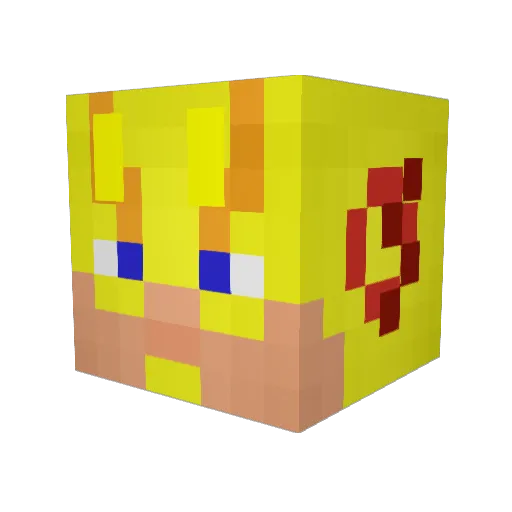 squidwardo14 Minecraft avatar head, 3D render
