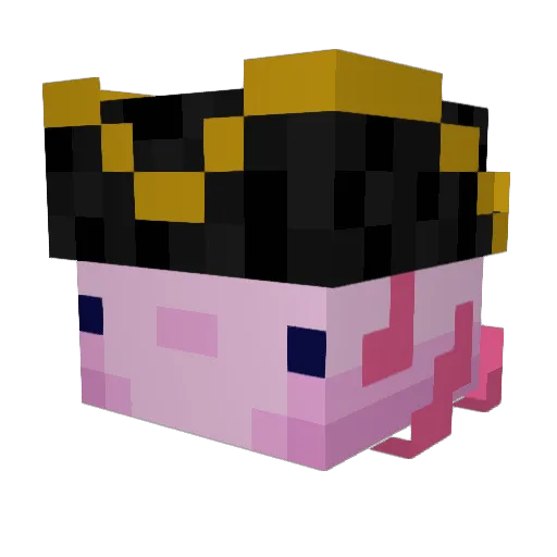 squidyman420 Minecraft avatar head, 3D render