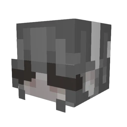 squigglez69 Minecraft avatar head, 3D render