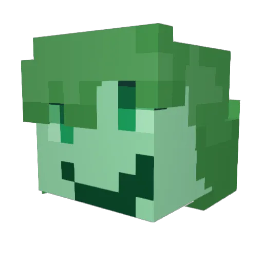 squiiik Minecraft avatar head, 3D render