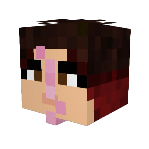 squirpin Minecraft avatar head, 3D render