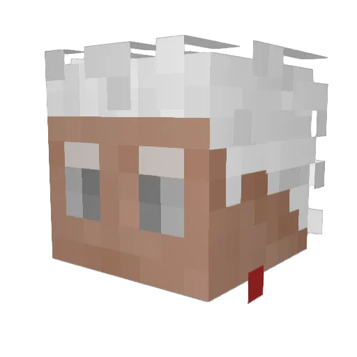 squirrel12138 Minecraft avatar head, 3D render