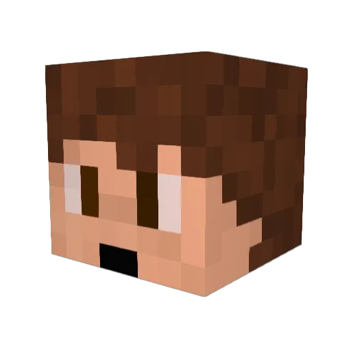 squirrelboy02 Minecraft avatar head, 3D render
