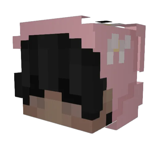 squirrelbrain5 Minecraft avatar head, 3D render