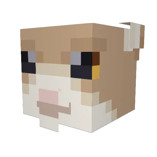 squirrelmarsh Minecraft avatar head, 3D render