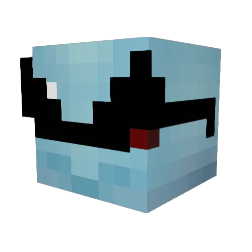 squirtle104 Minecraft avatar head, 3D render