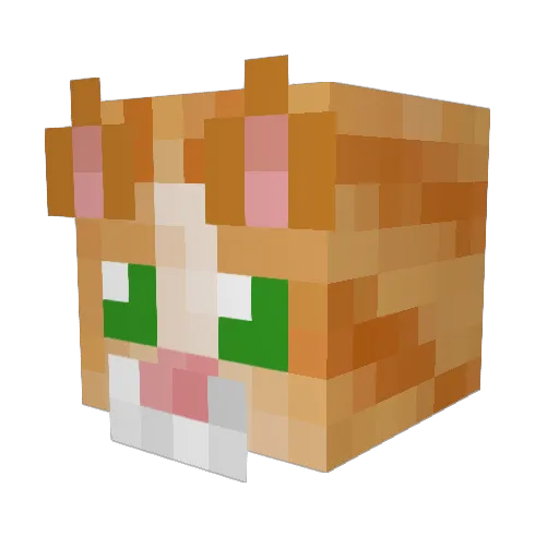 squirtle256 Minecraft avatar head, 3D render