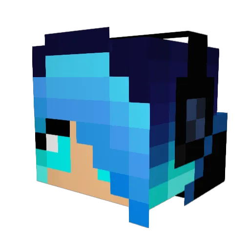 squirtle534 Minecraft avatar head, 3D render