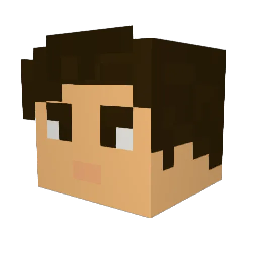 squirtle_says Minecraft avatar head, 3D render