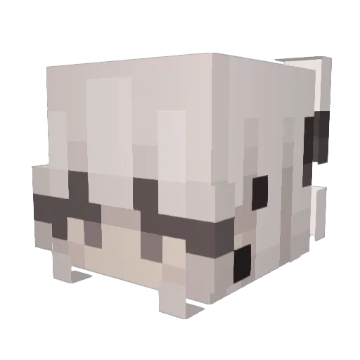 squishem0 Minecraft avatar head, 3D render