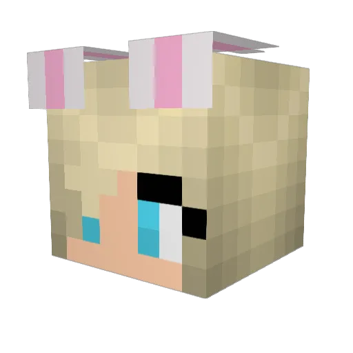 squishy0702 Minecraft avatar head, 3D render