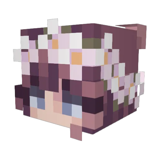 squishy2506 Minecraft avatar head, 3D render