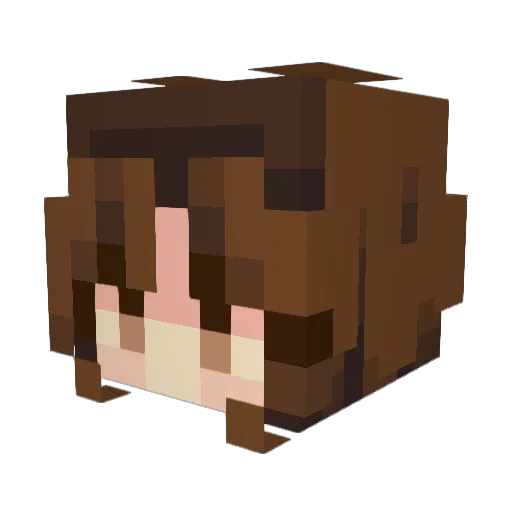 squishy42069 Minecraft avatar head, 3D render