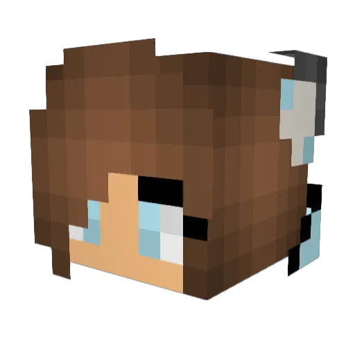 squishyLive Minecraft avatar head, 3D render