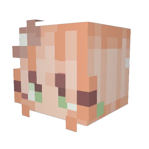squishyUniTates Minecraft avatar head, 3D render