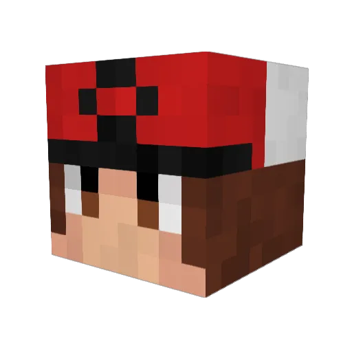 squrtle157 Minecraft avatar head, 3D render