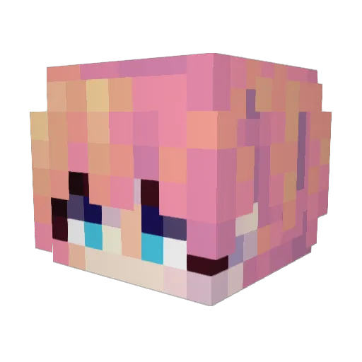 squuigg Minecraft avatar head, 3D render