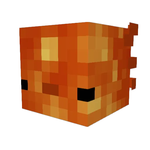 squwak Minecraft avatar head, 3D render