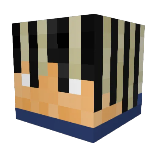 sqwigs Minecraft avatar head, 3D render