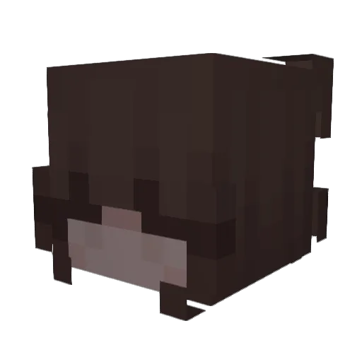 sqxam Minecraft avatar head, 3D render