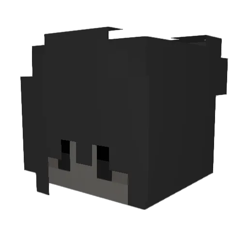 sqxjil Minecraft avatar head, 3D render