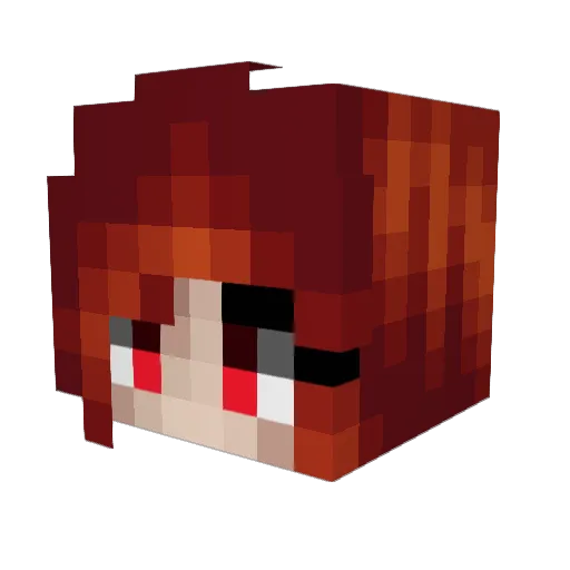 sr9bg Minecraft avatar head, 3D render