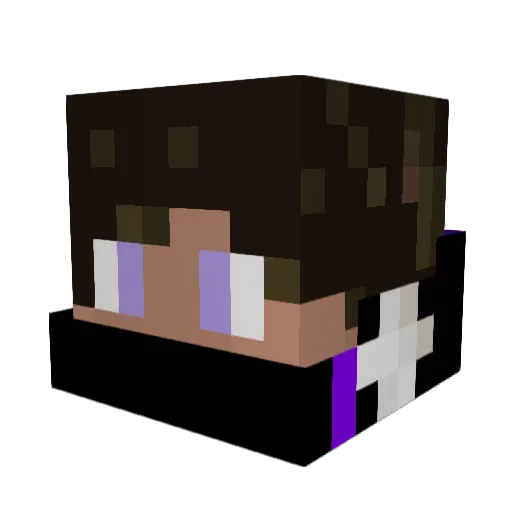 srNWZ Minecraft avatar head, 3D render