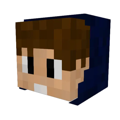 sr_bagacinho Minecraft avatar head, 3D render