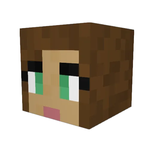 srb1 Minecraft avatar head, 3D render