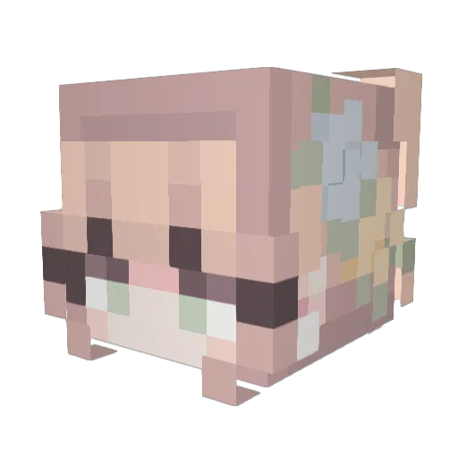 srcelonci Minecraft avatar head, 3D render