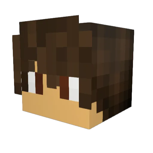 sreghjtrsf Minecraft avatar head, 3D render