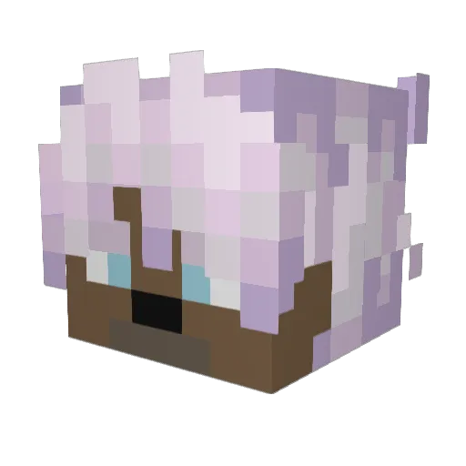 srg210 Minecraft avatar head, 3D render