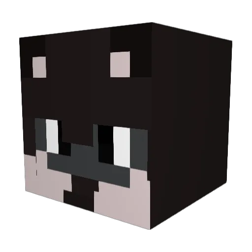 srn7717 Minecraft avatar head, 3D render