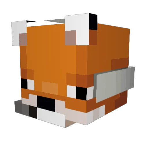 sroon Minecraft avatar head, 3D render