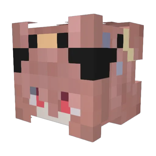 srpollosupremo Minecraft avatar head, 3D render