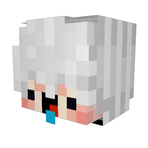 srr0522 Minecraft avatar head, 3D render