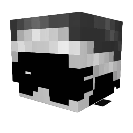 srr1 Minecraft avatar head, 3D render