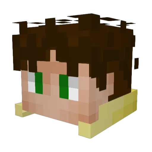srtee Minecraft avatar head, 3D render