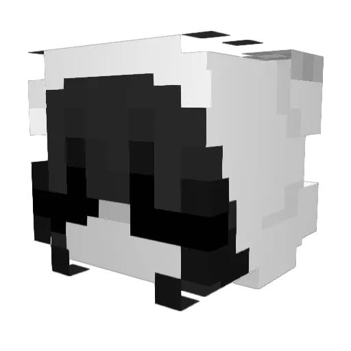 srupkaa Minecraft avatar head, 3D render