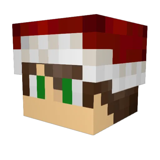 ss2tron Minecraft avatar head, 3D render