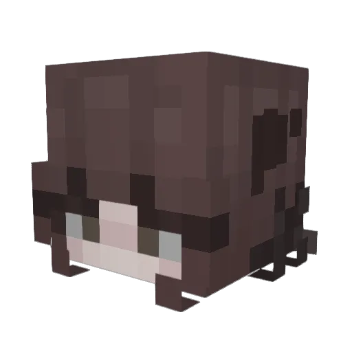 ss7enaa Minecraft avatar head, 3D render